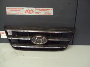 Gebruikte Grille Hyundai Atos 1.1 12V Prijs op aanvraag aangeboden door de Graaf autodemontage B.V.