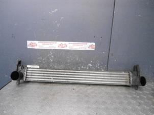 Gebruikte Intercooler Skoda Fabia II Combi 1.6 TDI 16V 75 Prijs op aanvraag aangeboden door de Graaf autodemontage B.V.