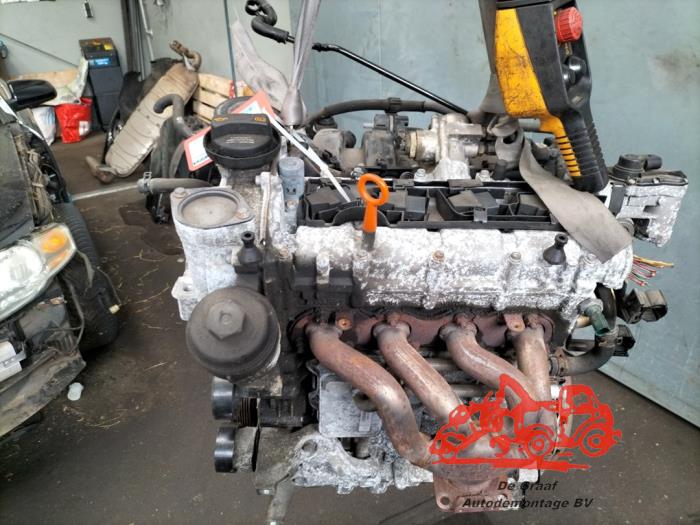 Gebruikte Motor Volkswagen Golf V (1K1) 1.6 FSI 16V Prijs € 400,00 Margeregeling aangeboden door de Graaf autodemontage B.V.