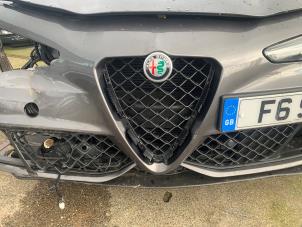 Gebruikte Grille Lijst Alfa Romeo Giulia (952) 2.9 Bi-Turbo V6 24V Quadrifoglio Verde Prijs op aanvraag aangeboden door "Altijd Raak" Penders