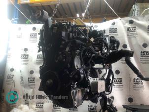 Gebruikte Motor Nissan Qashqai (J11) 1.6 dCi Prijs op aanvraag aangeboden door "Altijd Raak" Penders