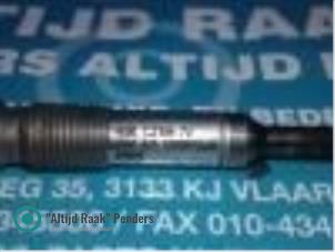 Gebruikte Gloeikaars Volkswagen Polo V (6R) 1.4 TDI 12V 90 Prijs op aanvraag aangeboden door "Altijd Raak" Penders