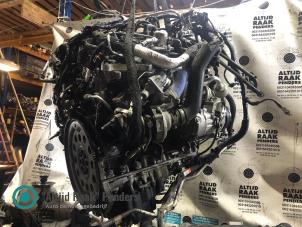 Gebruikte Motor Ford Usa F150 Raptor Prijs op aanvraag aangeboden door "Altijd Raak" Penders