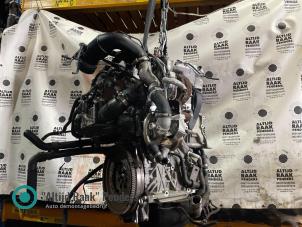 Gebruikte Motor Volkswagen Polo V (6R) 1.4 TDI 12V 90 Prijs op aanvraag aangeboden door "Altijd Raak" Penders