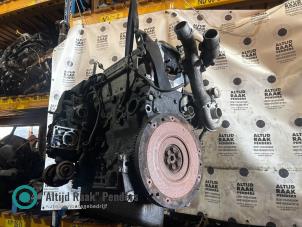 Gebruikte Cilinderkop Iveco New Daily III 40C15 Prijs op aanvraag aangeboden door "Altijd Raak" Penders