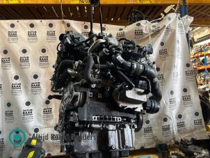 Gebruikte Carterpan Jeep Wrangler (JL) Prijs op aanvraag aangeboden door "Altijd Raak" Penders