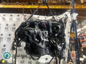 Gebruikte Motor BMW 5 serie (F10) 530d 24V Prijs op aanvraag aangeboden door "Altijd Raak" Penders