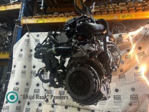 Gebruikte Motor Ford Fiesta 7 1.0 EcoBoost 12V 125 Prijs op aanvraag aangeboden door "Altijd Raak" Penders