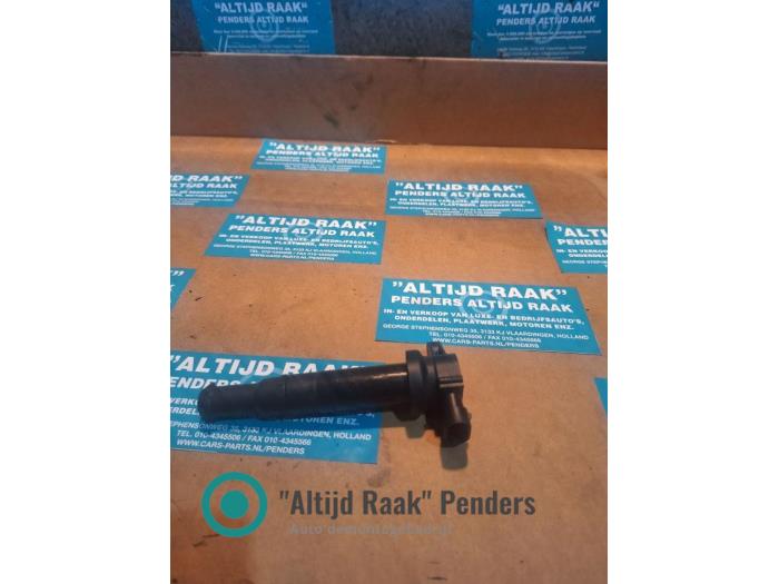 Pen Bobine van een Hyundai Santa Fe II (CM)  2008