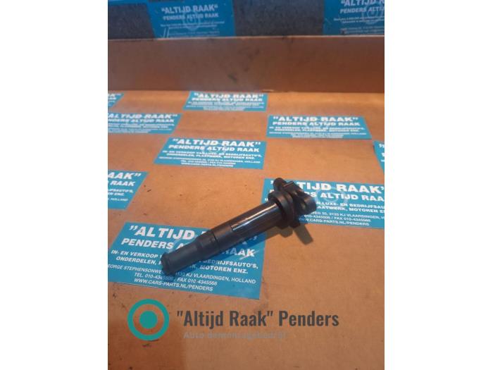 Pen Bobine van een Hyundai Santa Fe II (CM)  2008