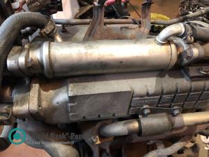 Gebruikte EGR koeler Fiat Ducato 4x4 (247) 2.8 JTD Combinato Prijs op aanvraag aangeboden door "Altijd Raak" Penders