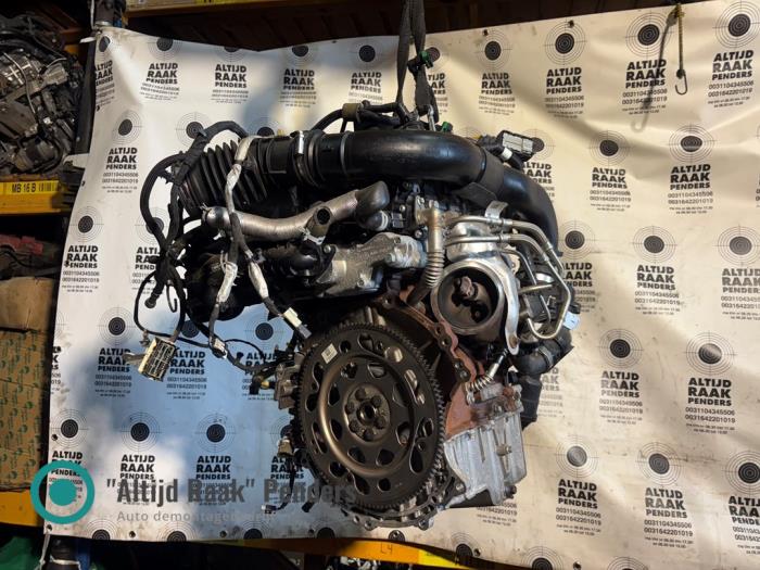 Gebruikte Motor Ford Focus 4 1.0 Ti-VCT EcoBoost 12V 125 Prijs op aanvraag aangeboden door "Altijd Raak" Penders