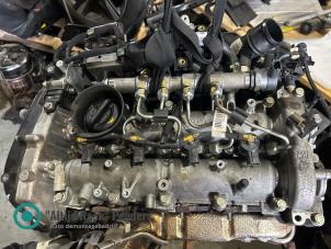 Gebruikte Injector brug Jeep Wrangler (JL) Prijs op aanvraag aangeboden door "Altijd Raak" Penders