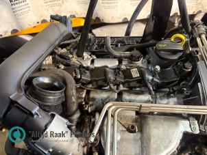 Gebruikte Motor Volkswagen Polo V (6R) 1.2 TSI 16V BlueMotion Technology Prijs op aanvraag aangeboden door "Altijd Raak" Penders