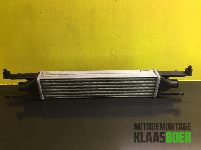 Gebruikte Intercooler Fiat Punto Evo (199) 1.3 JTD Multijet 85 16V Euro 5 Prijs € 50,00 Margeregeling aangeboden door Autodemontage Klaas Boer