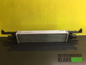 Gebruikte Intercooler Fiat Punto Evo (199) 1.3 JTD Multijet 85 16V Euro 5 Prijs € 50,00 Margeregeling aangeboden door Autodemontage Klaas Boer