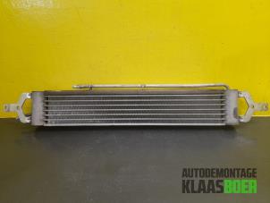 Gebruikte Intercooler BMW Mini One/Cooper (R50) Prijs € 25,00 Margeregeling aangeboden door Autodemontage Klaas Boer