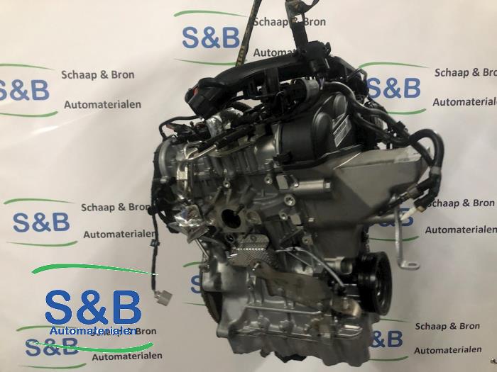 Gebruikte Motor Volkswagen Polo VI (AW1) 1.0 TSI 12V Prijs € 1.500,00 Margeregeling aangeboden door Schaap & Bron