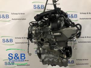 Gebruikte Motor Volkswagen Polo VI (AW1) 1.0 TSI 12V Prijs € 1.500,00 Margeregeling aangeboden door Schaap & Bron