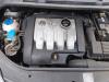 Gebruikte Motor Volkswagen Golf Plus (5M1/1KP) 1.9 TDI 90 Prijs € 700,00 Margeregeling aangeboden door Schaap & Bron