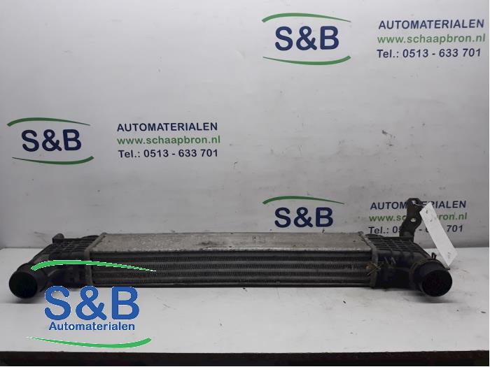 Gebruikte Intercooler Volkswagen Sharan (7M8/M9/M6) 1.9 TDI 90 Prijs € 75,00 Margeregeling aangeboden door Schaap & Bron