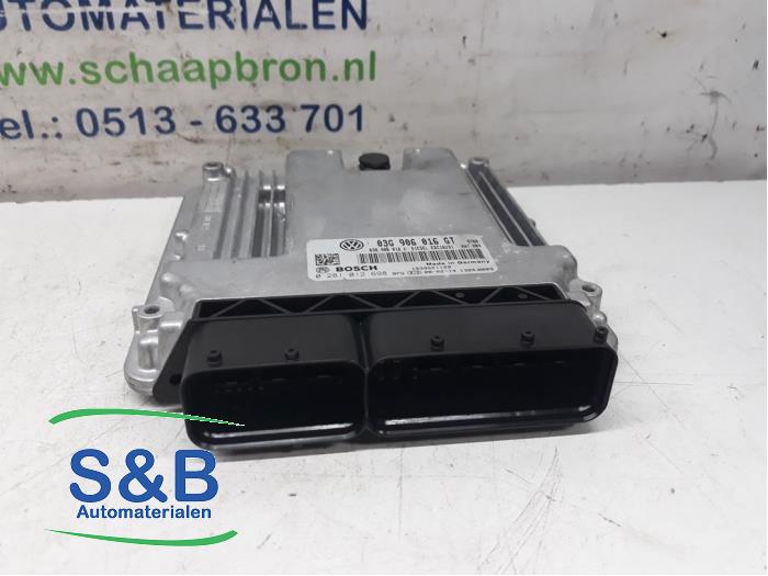Gebruikte Computer Motormanagement Skoda Superb (3U4) 2.0 TDI 16V Prijs € 250,00 Margeregeling aangeboden door Schaap & Bron