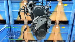 Gebruikte Motor Volkswagen Touran (1T1/T2) 1.9 TDI 100 Prijs € 450,00 Margeregeling aangeboden door Schaap & Bron