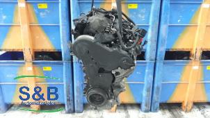 Gebruikte Motor Volkswagen Passat Variant (3C5) 2.0 TDI 16V Bluemotion Prijs € 950,00 Margeregeling aangeboden door Schaap & Bron