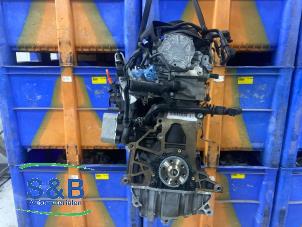 Gebruikte Motor Skoda Fabia II (5J) 1.6 TDI 16V 75 Prijs € 1.500,00 Margeregeling aangeboden door Schaap & Bron