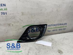 Gebruikte Bumper Rooster Skoda Fabia II (5J) 1.4 TSI 16V RS Prijs € 10,00 Margeregeling aangeboden door Schaap & Bron
