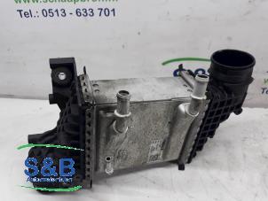 Gebruikte Intercooler Volkswagen Transporter T6 2.0 TDI 150 4Motion Prijs € 99,00 Margeregeling aangeboden door Schaap & Bron