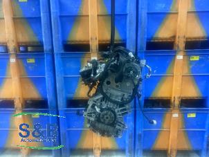 Gebruikte Motor Volkswagen Polo VI (AW1) 1.0 TSI 12V Prijs € 1.000,00 Margeregeling aangeboden door Schaap & Bron