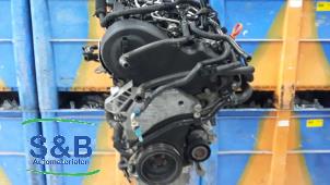Gebruikte Motor Volkswagen Passat (362) 1.6 TDI 16V Bluemotion Prijs € 1.500,00 Margeregeling aangeboden door Schaap & Bron