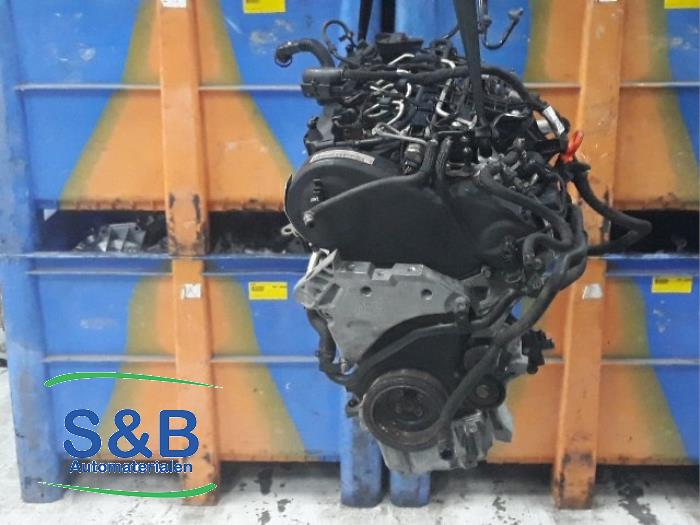Gebruikte Motor Volkswagen Jetta IV (162/16A) 1.6 TDI 16V Prijs € 1.750,00 Margeregeling aangeboden door Schaap & Bron