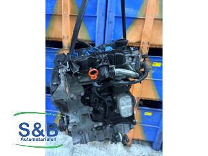 Gebruikte Motor Volkswagen Golf VI Variant (AJ5/1KA) 1.6 TDI 16V 105 Prijs € 650,00 Margeregeling aangeboden door Schaap & Bron