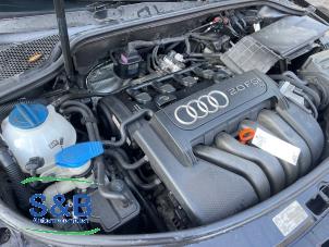 Gebruikte Motor Audi A3 (8P1) 2.0 16V FSI Prijs € 850,00 Margeregeling aangeboden door Schaap & Bron