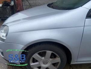 Gebruikte Scherm links-voor Volkswagen Golf V Variant (1K5) 1.9 TDI Prijs € 50,00 Margeregeling aangeboden door Schaap & Bron