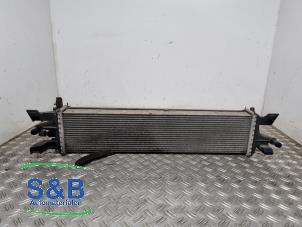 Gebruikte Radiateur Ford Kuga II (DM2) 1.5 EcoBoost 16V 150 Prijs € 84,99 Margeregeling aangeboden door Schaap & Bron