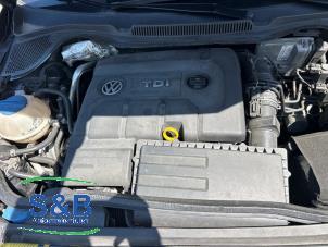 Gebruikte Motor Volkswagen Polo V (6R) 1.4 TDI DPF BlueMotion technology Prijs € 1.250,00 Margeregeling aangeboden door Schaap & Bron