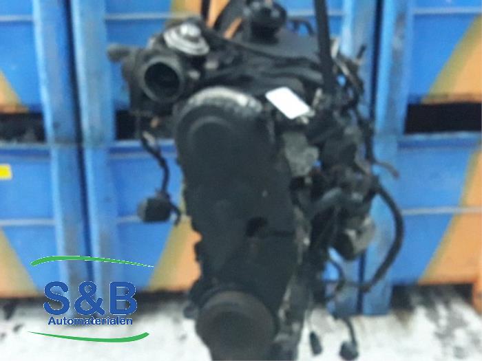 Gebruikte Motor Volkswagen Golf V (1K1) 1.9 TDI Prijs € 325,00 Margeregeling aangeboden door Schaap & Bron