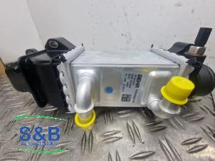 Nieuwe Intercooler Volkswagen Polo V (6R) 1.4 TDI 12V 90 Prijs € 340,01 Inclusief btw aangeboden door Schaap & Bron