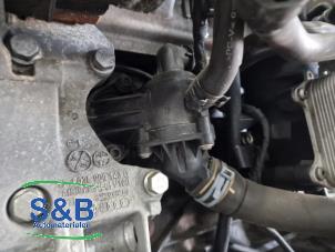 Gebruikte Motor Volkswagen Caddy III (2KA,2KH,2CA,2CH) 1.6 TDI 16V Prijs € 900,00 Margeregeling aangeboden door Schaap & Bron