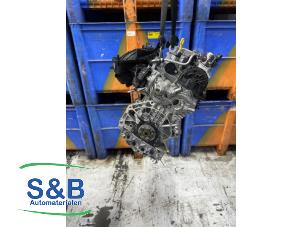 Gebruikte Motor Volkswagen Polo VI (AW1) 1.0 TSI 12V Prijs € 1.450,00 Margeregeling aangeboden door Schaap & Bron