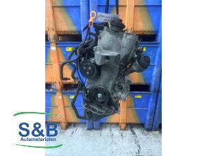 Gebruikte Motor Volkswagen Polo IV (9N1/2/3) 1.2 12V Prijs € 600,00 Margeregeling aangeboden door Schaap & Bron