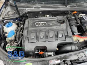 Gebruikte Motor Audi A3 (8P1) 2.0 TDI 16V Prijs € 1.250,00 Margeregeling aangeboden door Schaap & Bron