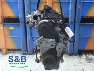 Gebruikte Motor Volkswagen Passat Variant (3C5) 1.9 TDI Prijs € 450,00 Margeregeling aangeboden door Schaap & Bron