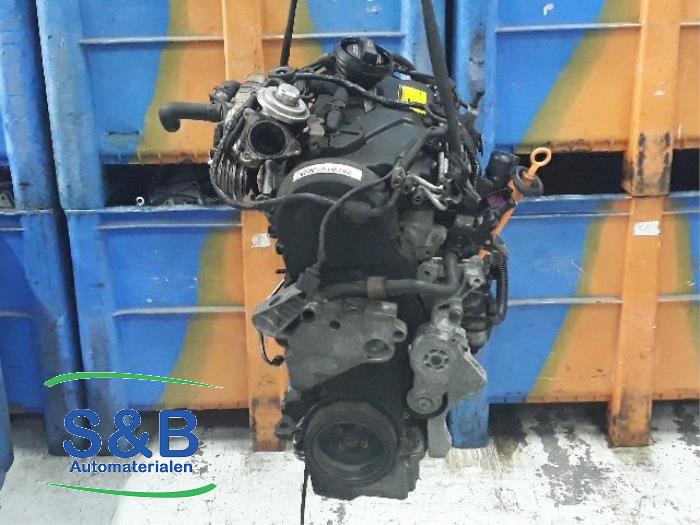 Gebruikte Motor Volkswagen Golf V (1K1) 1.9 TDI Prijs € 350,00 Margeregeling aangeboden door Schaap & Bron