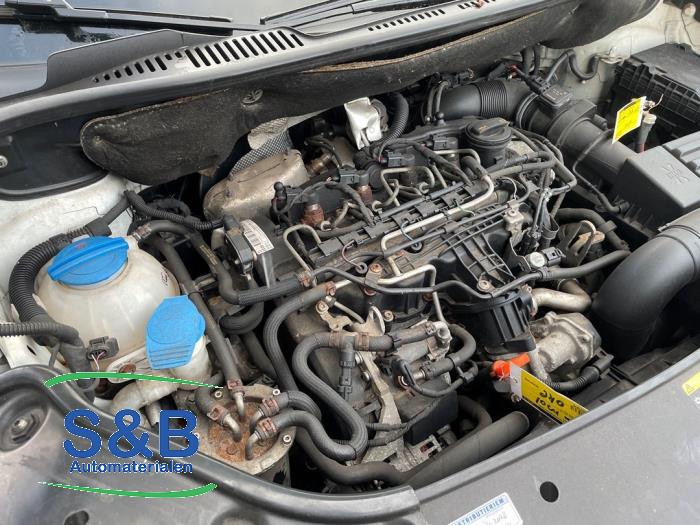 Gebruikte Motor Volkswagen Caddy III (2KA,2KH,2CA,2CH) 1.6 TDI 16V Prijs € 1.500,00 Margeregeling aangeboden door Schaap & Bron