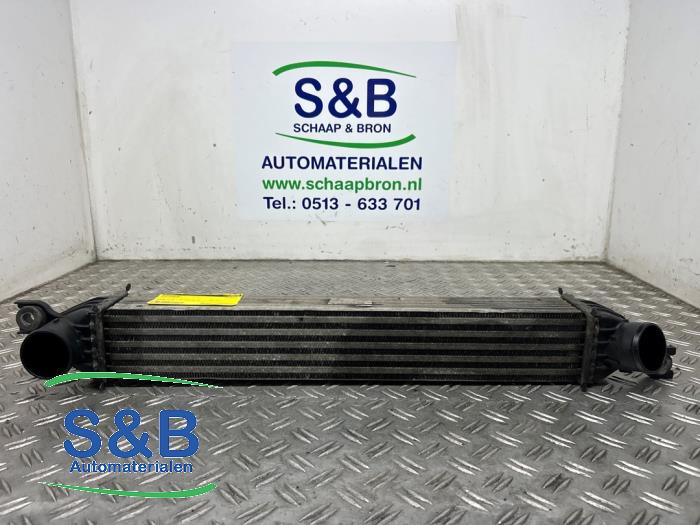Gebruikte Intercooler Mini Countryman (R60) 1.6 16V Cooper S Prijs € 25,00 Margeregeling aangeboden door Schaap & Bron