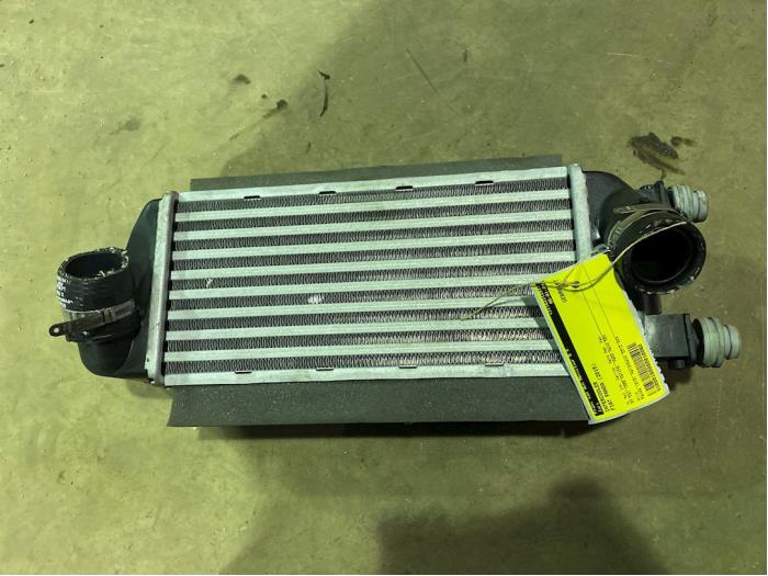 Intercooler Fiat Panda (312), 2012 1.3 D 16V Multijet, Hatchback, Diesel, 1.248cc, 55kW (75pk), FWD, 169A1000; 199A9000, 2012-02, 312PXL1 (Gebruikt)